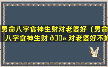 男命八字食神生财对老婆好（男命八字食神生财 🌻 对老婆好不好）